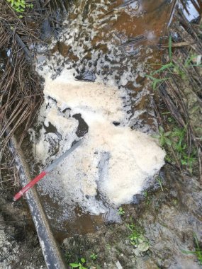 Çiftlik drenaj nehrinde beyaz kahverengimsi köpük hattı yüzeye çıkıyor..