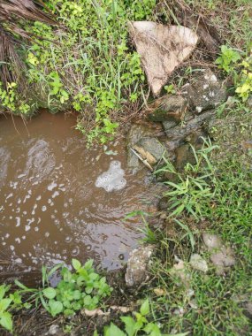 Çiftlik drenaj nehrinde beyaz kahverengimsi köpük hattı yüzeye çıkıyor..