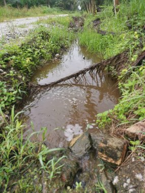 Çiftlik drenaj nehrinde beyaz kahverengimsi köpük hattı yüzeye çıkıyor..