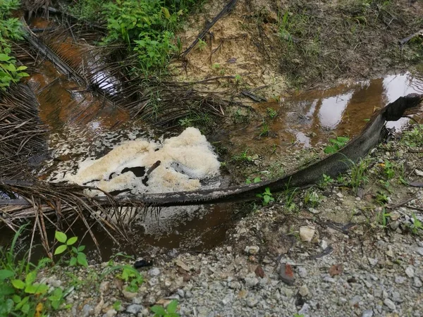 农场排水河上的白色褐色泡沫线 — 图库照片