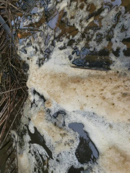 農場排水川に面した白い茶色の泡ライン — ストック写真