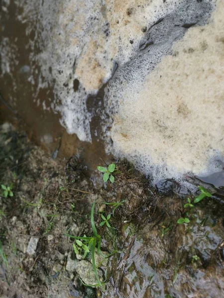 Çiftlik Drenaj Nehrinde Beyaz Kahverengimsi Köpük Hattı Yüzeye Çıkıyor — Stok fotoğraf