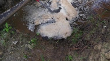 Çiftlik drenaj nehrinde beyaz kahverengimsi köpük hattı yüzeye çıkıyor..