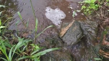 Çiftlik drenaj nehrinde beyaz kahverengimsi köpük hattı yüzeye çıkıyor..