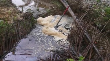 Çiftlik drenaj nehrinde beyaz kahverengimsi köpük hattı yüzeye çıkıyor..
