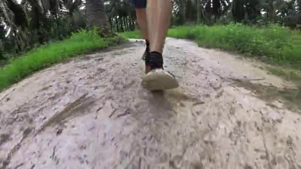 マレーシアのパーク 2022年 昭和7年 12月5日 知らない男がKg島プランテーションの砂利道を一人で歩く — ストック動画