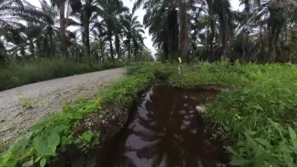 Menschengemachtes Entwässerungssystem Auf Dem Bauernhof Gefunden — Stockvideo