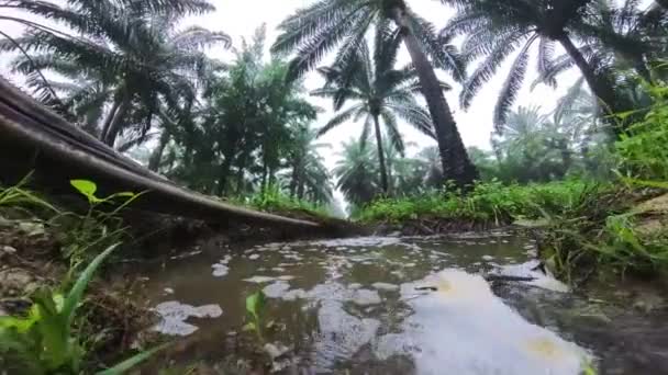 農村部の農業で見られる人工排水システムは — ストック動画