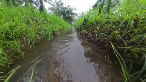 Man Made Drainage System Found Rural Agriculture Farm — Stock Video