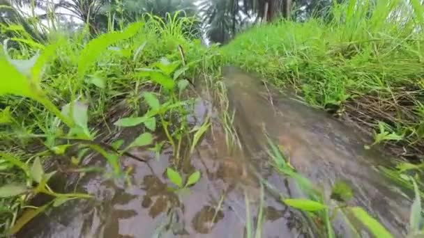 Man Made Drainage System Found Rural Agriculture Farm — Stock Video
