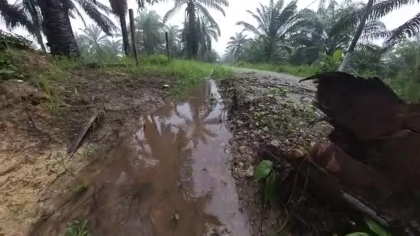 農村部の農道沿いに排水システムがあり — ストック動画
