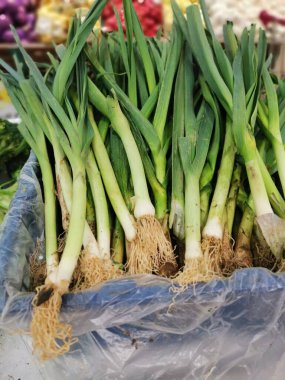 Taze yeşil porselen demet pırasa