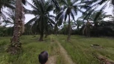 Parlak bulutsuz sabah gökyüzü kırsal tarla yolunda tek başına yürüyen bir adam.