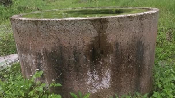 Concrete Well Filled Floating Algae Sludge — Stock Video