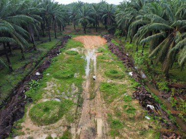 Şiddetli yağmurdan sonra boş tarım arazileri su birikintileriyle dolu.
