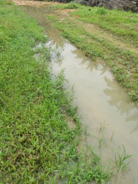 Şiddetli yağmurdan sonra boş tarım arazileri su birikintileriyle dolu.