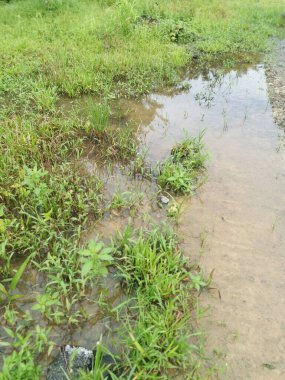 Şiddetli yağmurdan sonra boş tarım arazileri su birikintileriyle dolu.