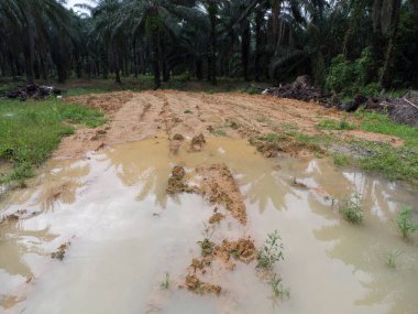 Boş tarım arazisinin hava manzarası su birikintileriyle dolu. 