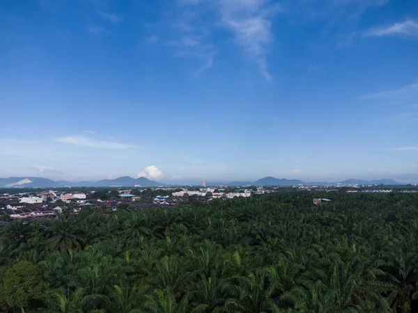 aerial morning suburb sky scene where it is surrounded with oil palm plantation