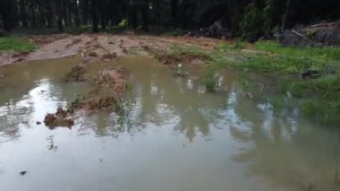 Boş tarım arazisinin hava manzarası su birikintileriyle dolu. 