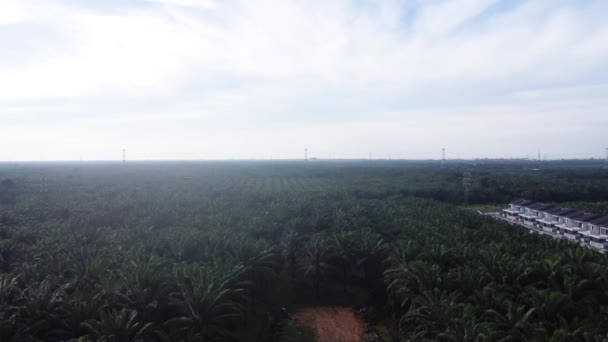 Pemandangan Udara Dari Lahan Pertanian Kosong Yang Penuh Genangan Air — Stok Video