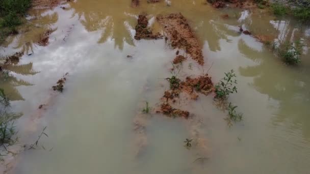 空旷的农田 水坑的空中场景 — 图库视频影像