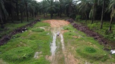 Boş tarım arazisinin havadan çekilmiş görüntüsü. İnsansız hava aracıyla uçarken etrafta dolaşan bir sürü su birikintisi..