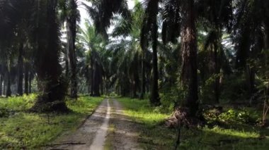motion walk on the rough gravel rural countryside road