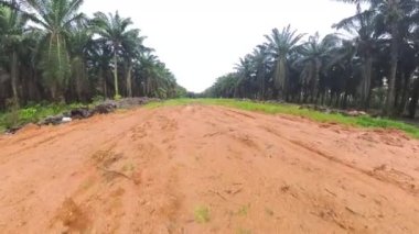 scene of the vacant agriculture land fulls of puddle and weed plant  