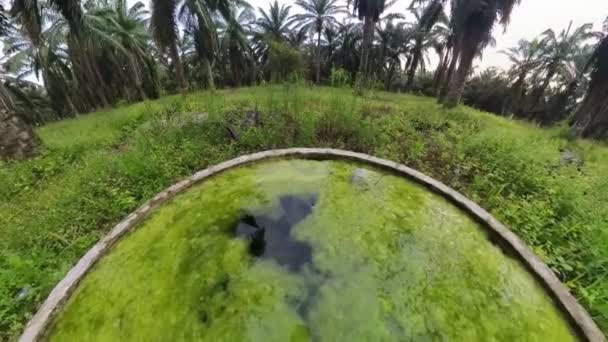 充满浮藻污泥的混凝土 — 图库视频影像