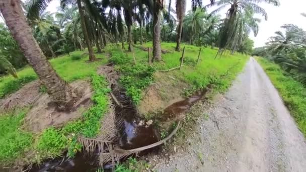 Système Drainage Long Bord Route Agricole Rurale — Video