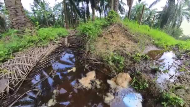 Entwässerungssystem Wegesrand Des Landwirtschaftlichen Betriebs Gefunden — Stockvideo