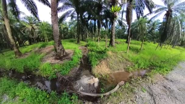 沿著乡郊农场路边发现的排水系统 — 图库视频影像