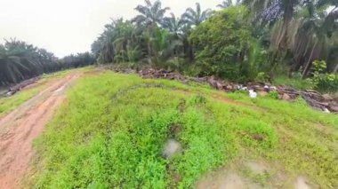 scene of the vacant agriculture land fulls of puddle and weed plant  