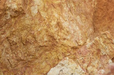 Ormanların tahrip edilmesi ve toprak madenciliği nedeniyle terk edilmiş arazinin çevresindeki manzara..