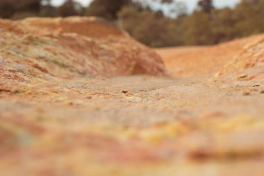 Ormanların tahrip edilmesi ve toprak madenciliği nedeniyle terk edilmiş arazinin çevresindeki manzara..