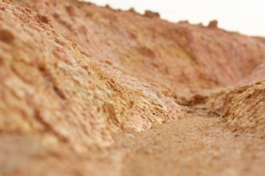 Ormanların tahrip edilmesi ve toprak madenciliği nedeniyle terk edilmiş arazinin çevresindeki manzara..