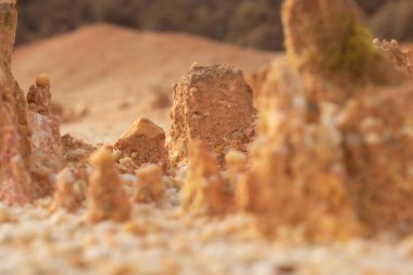 Ormanların tahrip edilmesi ve toprak madenciliği nedeniyle terk edilmiş arazinin çevresindeki manzara..