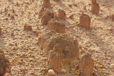 Ormanların tahrip edilmesi ve toprak madenciliği nedeniyle terk edilmiş arazinin çevresindeki manzara..