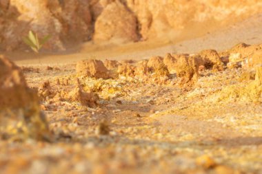 Ormanların tahrip edilmesi ve toprak madenciliği nedeniyle terk edilmiş arazinin çevresindeki manzara..