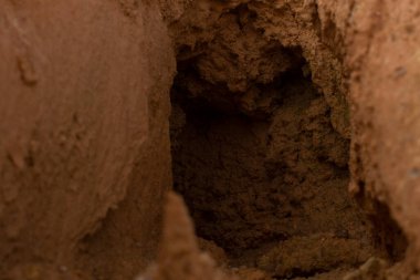 Ormanların tahrip edilmesi ve toprak madenciliği nedeniyle terk edilmiş arazinin çevresindeki manzara..