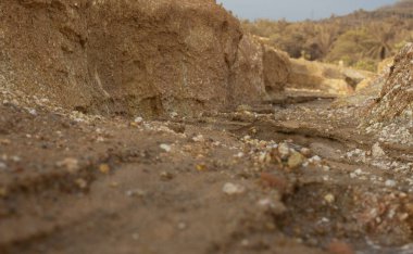 Ormanların tahrip edilmesi ve toprak madenciliği nedeniyle terk edilmiş arazinin çevresindeki manzara..