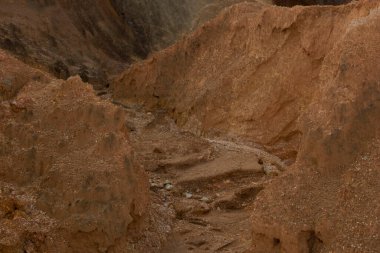 Ormanların tahrip edilmesi ve toprak madenciliği nedeniyle terk edilmiş arazinin çevresindeki manzara..