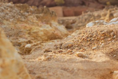 Ormanların tahrip edilmesi ve toprak madenciliği nedeniyle terk edilmiş arazinin çevresindeki manzara..