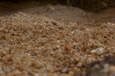 Ormanların tahrip edilmesi ve toprak madenciliği nedeniyle terk edilmiş arazinin çevresindeki manzara..