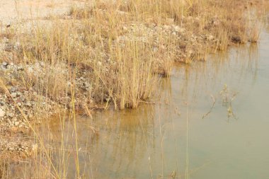 Kuru ve çorak arazinin etrafındaki göl..