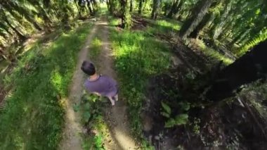 the adventurous man hiking into the oil palm plantation pathway