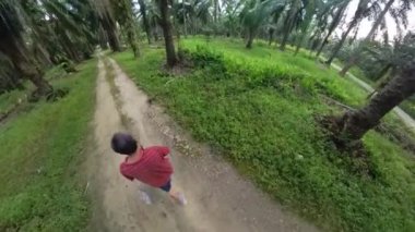 the adventurous man hiking into the oil palm plantation pathway