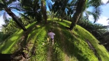 the unrecognizable adventurous man hiking into the oil palm plantation pathway