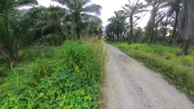 walking on the rough gravel rural countryside road